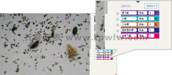 仪器识别统计界面 仪器识别统计界面