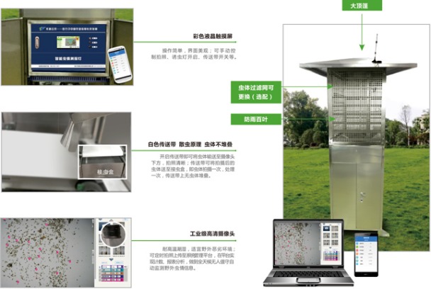 托普云农虫情测报灯对害虫的识别分析