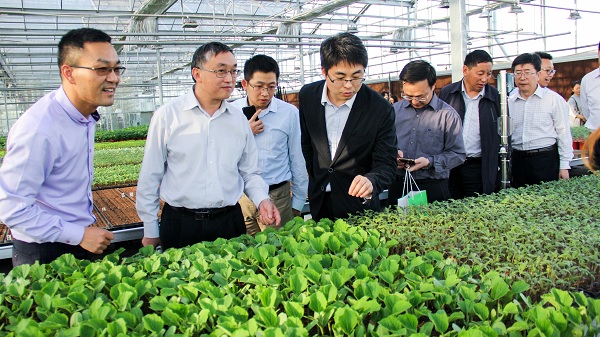 王主任一行参观托普云农设施农业监测与控制系统