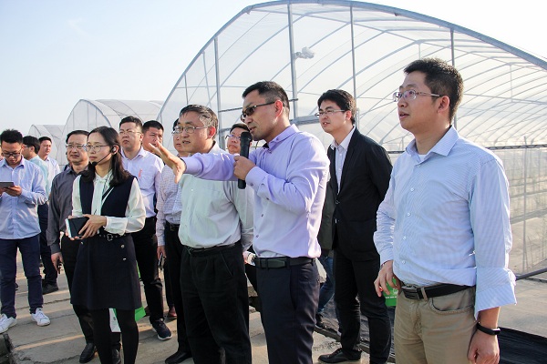 王主任一行关注托普云农智能标准化产品：棚联网