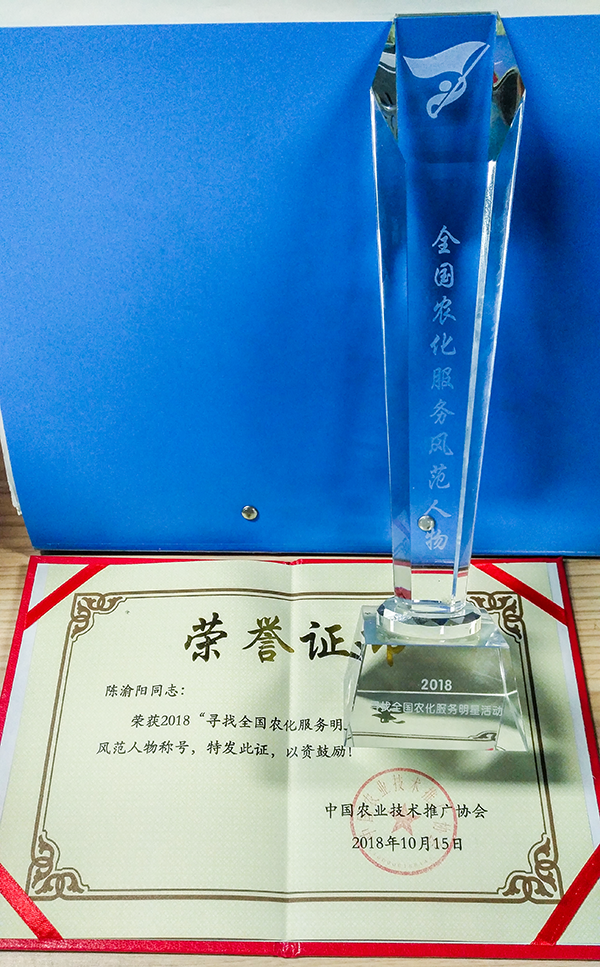 获奖奖杯与证书 获奖奖杯与证书