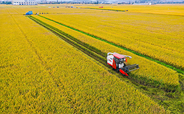 宁波古林大田数字农业项目实景图 宁波古林大田数字农业项目实景图