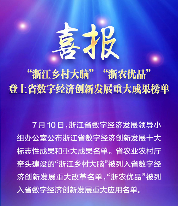 喜报！“浙江乡村大脑”登上省数字经济创新发展重大成果榜单