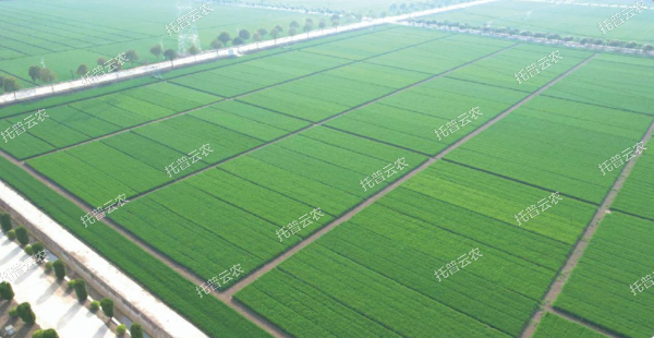 提升抗旱抗涝能力，做到旱能灌、涝能排