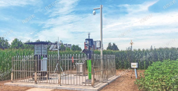 实时采集制种基地农情、墒情、病情、虫情数据信息